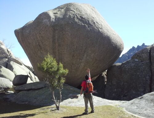 El Propósito Vital (Sentido y Propósito de nuestra Vida)