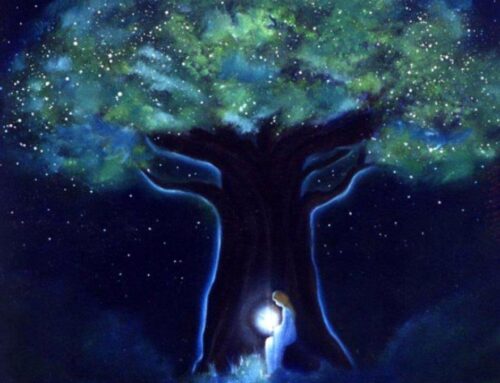 Sanar y Procesar el Miedo